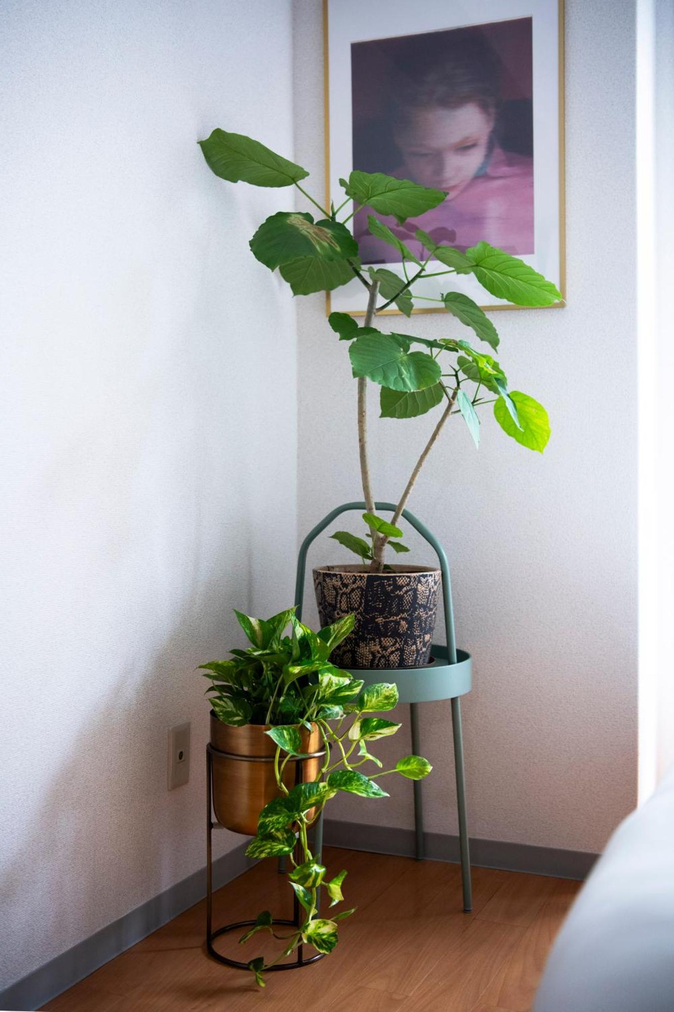 Renovated In June 2024 Apartment 3Mins Walk To Station 1Stop To Shinjuku 3Stop To Shibuya Tokyo Ngoại thất bức ảnh